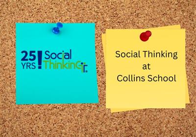  Social Thinking Collins