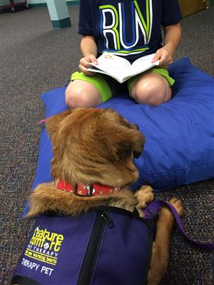 My dog Cora being read to! My dog Cora being read to!
