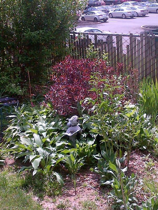 Bottone Family Garden 