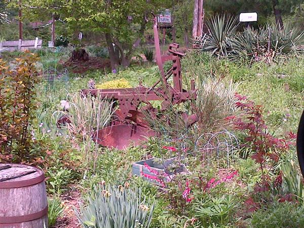 Bottone Family Garden 
