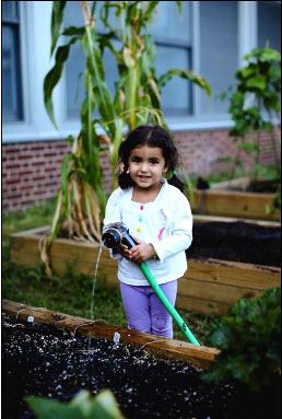 mpe garden 