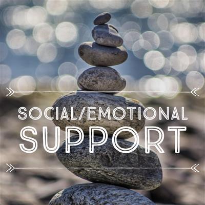 social/emotional support social/emotional support