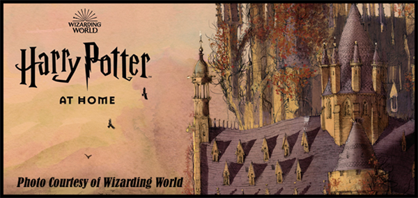 Harry Potter at home 