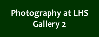 LHS art show 