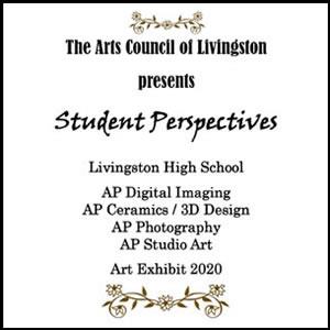 student perspctives 