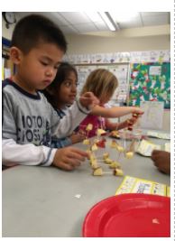 stem1 